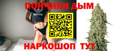 индика Нальчик
