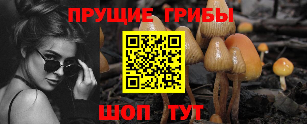 Псилоцибиновые грибы мухоморы  Вход с VPN  Чебоксары  Галлюциногенные грибы Psilocybe 