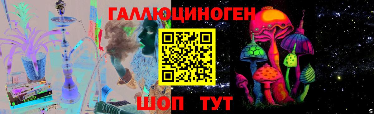 Галлюциногенные грибы Psilocybe Чебоксары